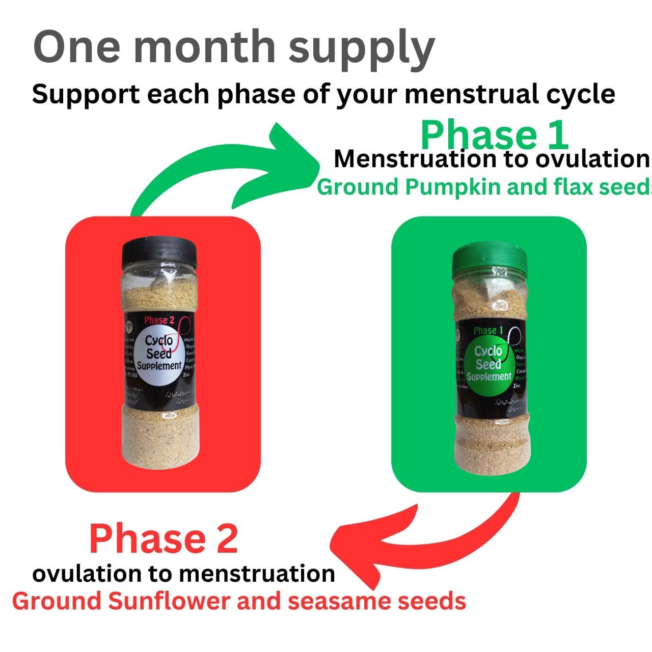 Cyclo Seed Phase 1 & 2